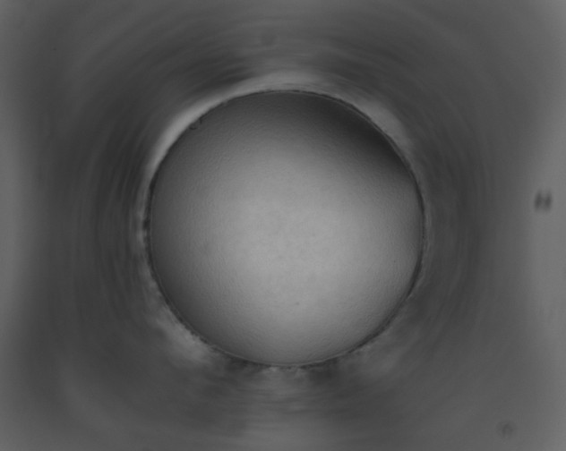 X0000093560912200710221420