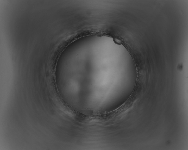 X0000093560913200710221419