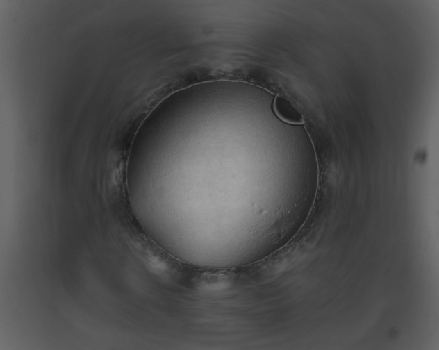 X0000093560914200710221419