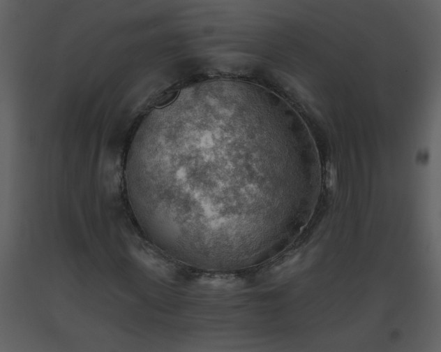 X0000093560915200710221419