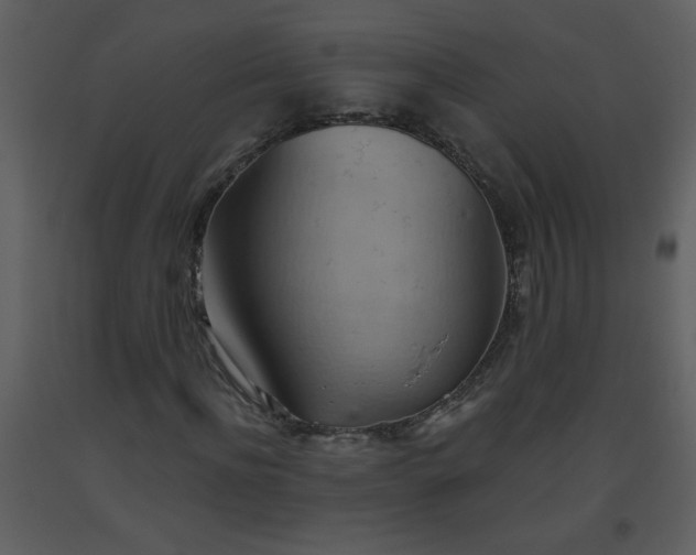 X0000093560916200710221419