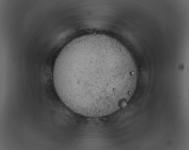 X0000093560918200710221419