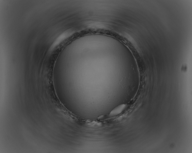 X0000093560919200710221419