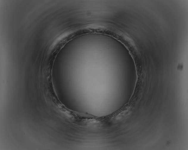 X0000093560920200710221419