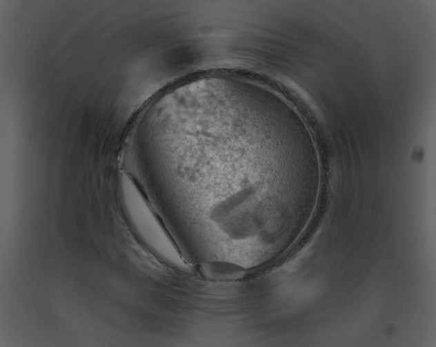 X0000093560921200710221419
