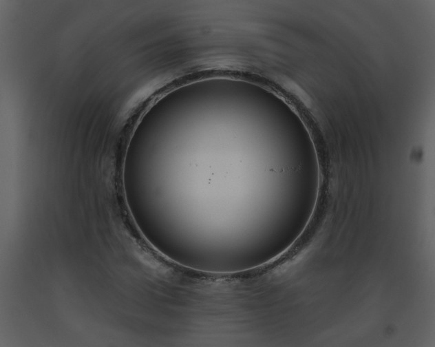 X0000093560922200710221419