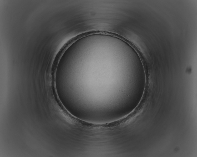 X0000093560924200710221419