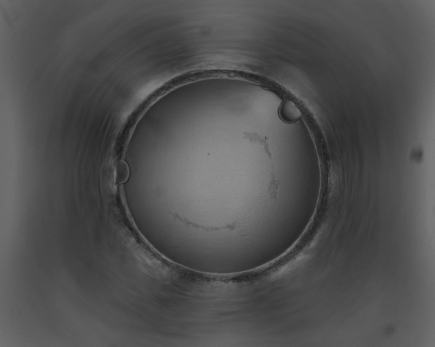X0000093560925200710221419