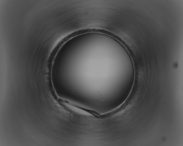 X0000093560926200710221419