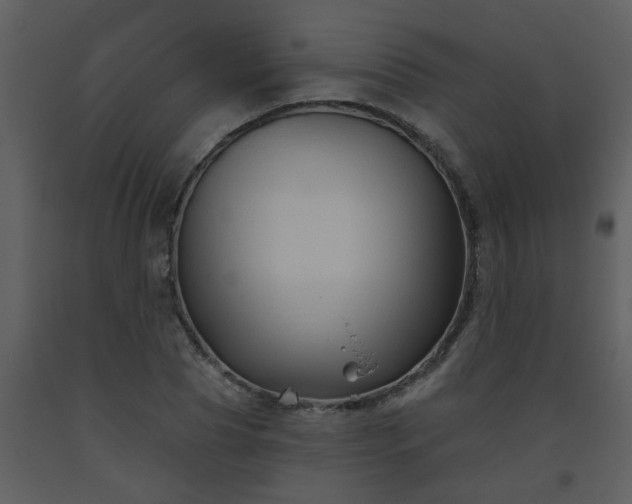 X0000093560929200710221420