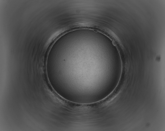 X0000093560930200710221420