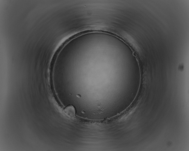 X0000093560932200710221420