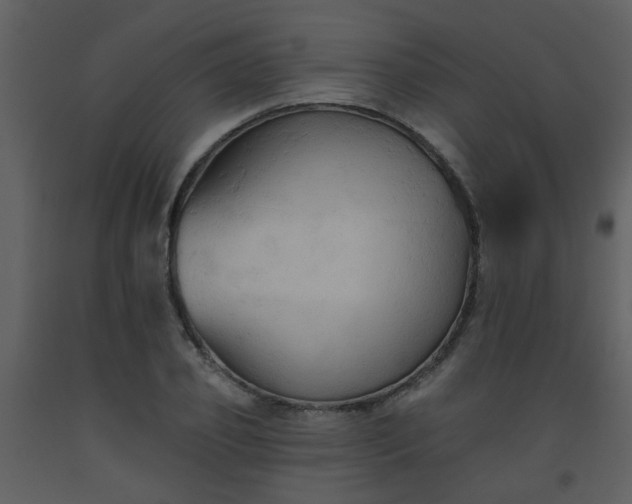 X0000093560933200710221420