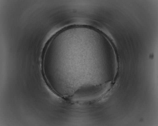 X0000093560935200710221420