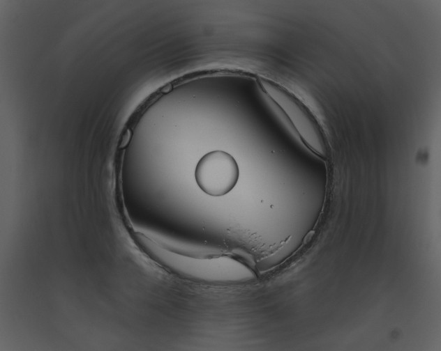 X0000093560936200710221420