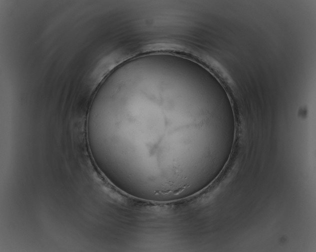 X0000093560937200710221420
