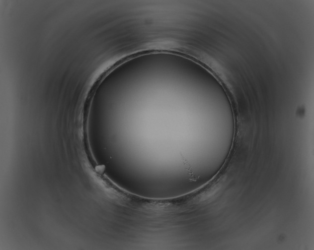 X0000093560939200710221420
