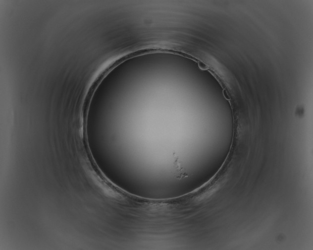 X0000093560940200710221420
