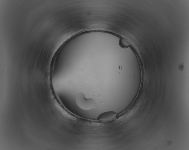 X0000093560941200710221420