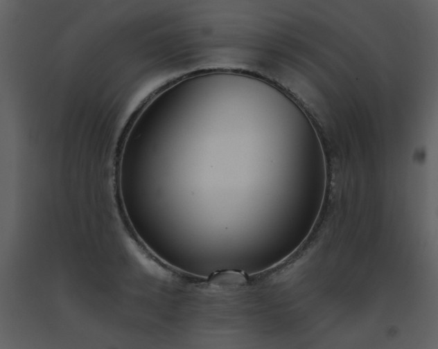 X0000093560942200710221420