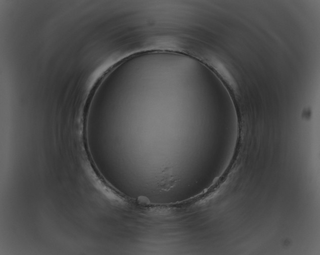 X0000093560944200710221420