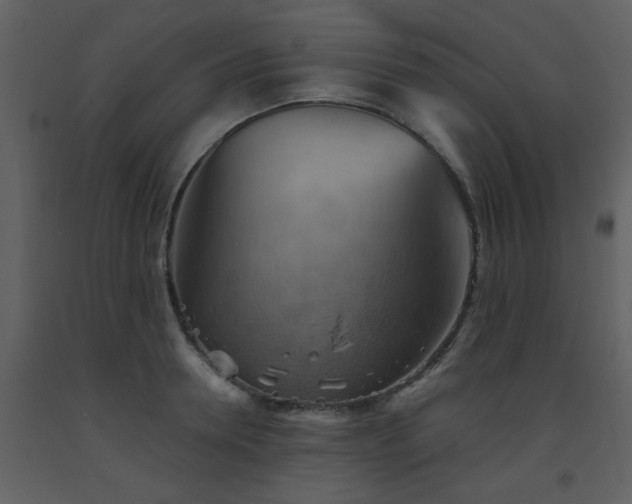 X0000093560946200710221420