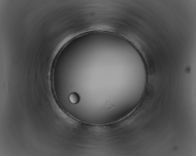 X0000093560947200710221420