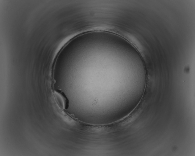 X0000093560948200710221420