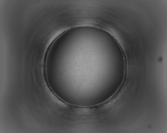 X0000093560949200710221420