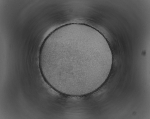 X0000093560950200710221420