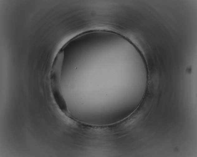 X0000093560951200710221420
