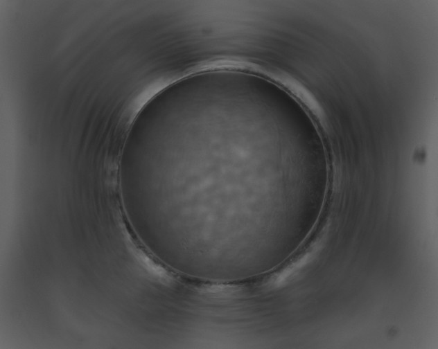 X0000093560953200710221420
