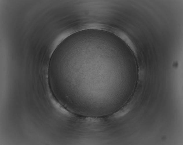 X0000093560954200710221420