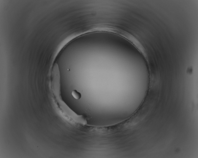 X0000093560955200710221420