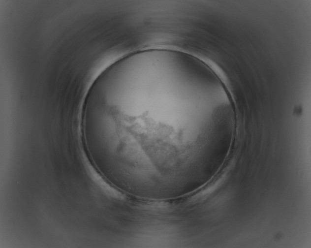 X0000093560957200710221420