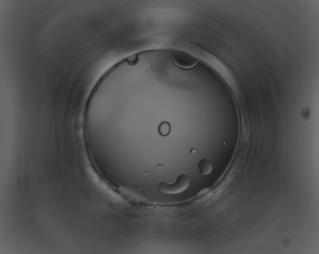 X0000093560958200710221420