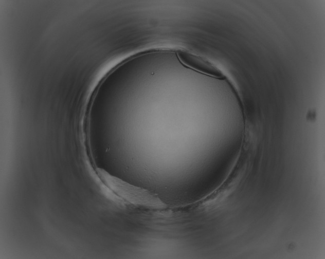 X0000093560959200710221420