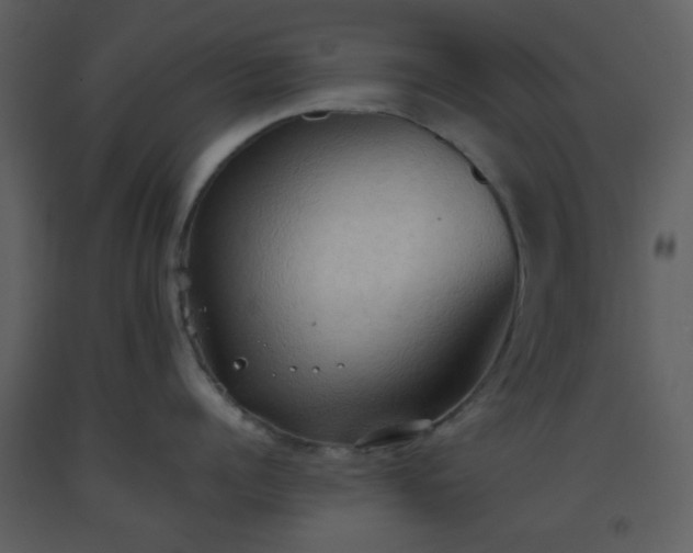 X0000093560960200710221420