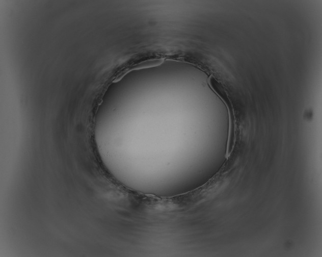 X0000093560961200710221419
