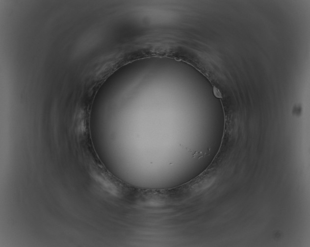 X0000093560962200710221419