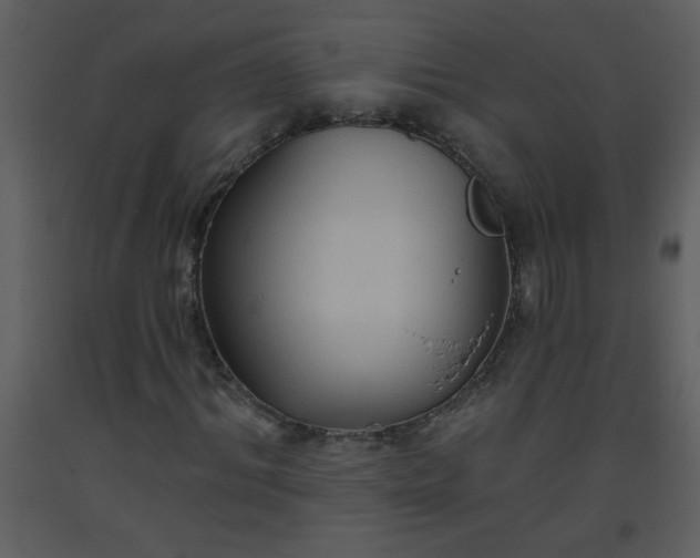 X0000093560964200710221419