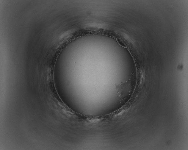 X0000093560965200710221419