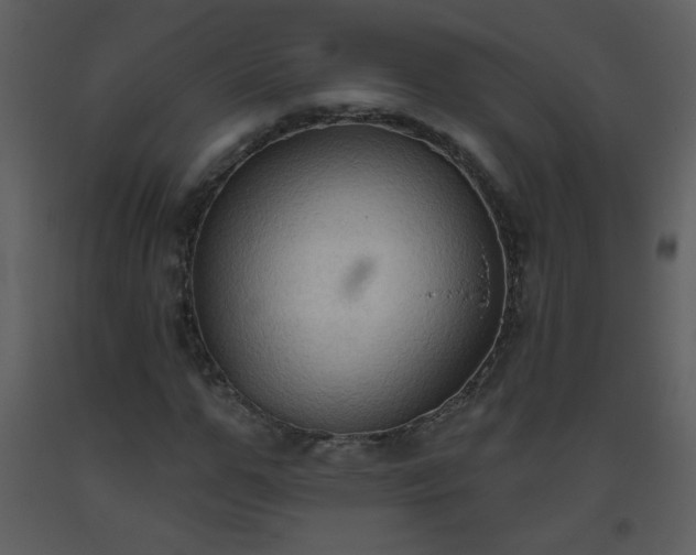 X0000093560967200710221419