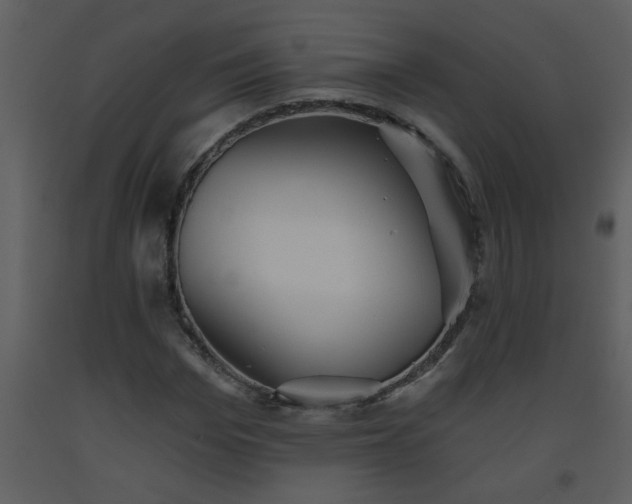 X0000093560969200710221419