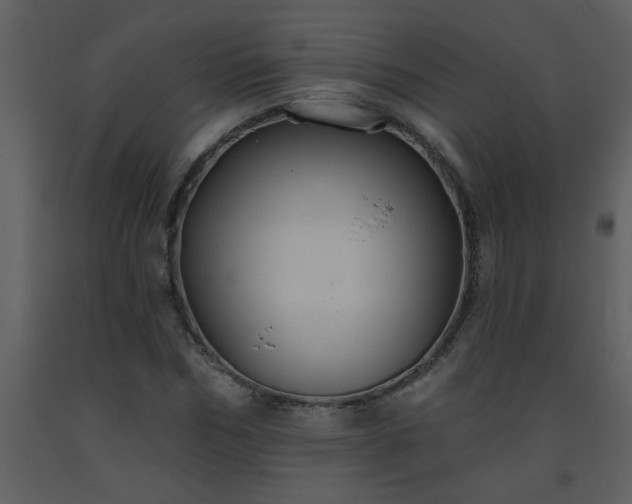 X0000093560970200710221419
