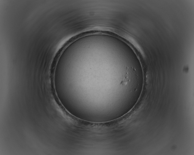 X0000093560972200710221419