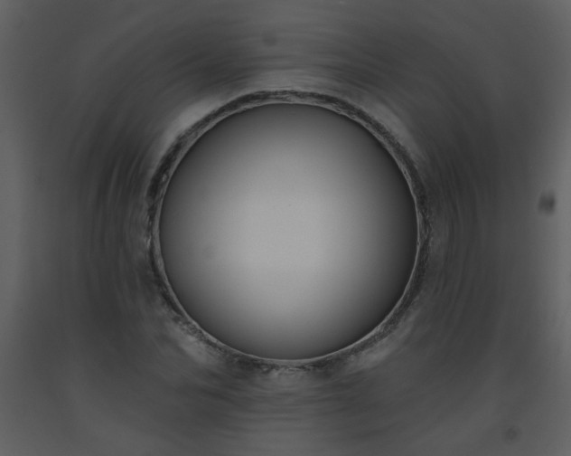 X0000093560974200710221419