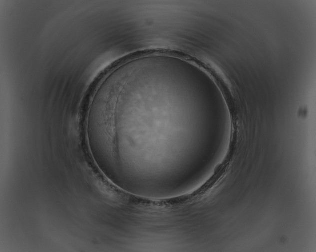 X0000093560975200710221419