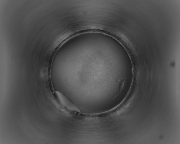 X0000093560977200710221419