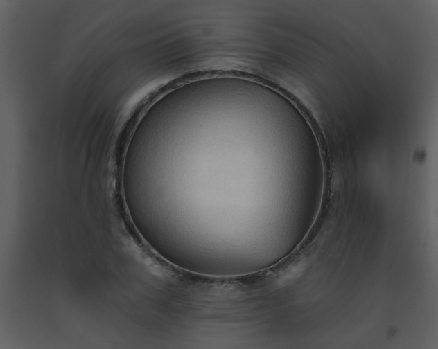 X0000093560979200710221419